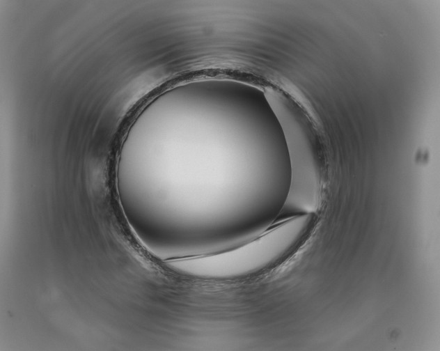 X0000091950826200709201320