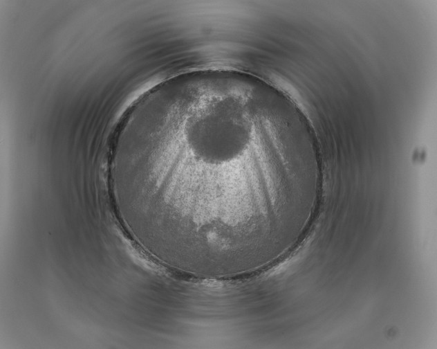 X0000091950827200709201320