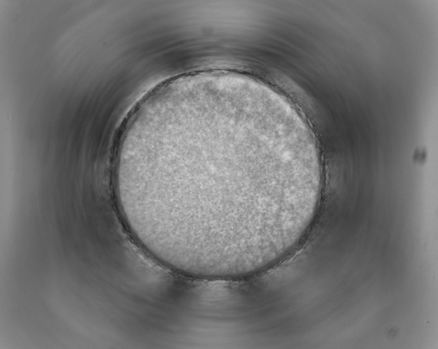 X0000091950828200709201320