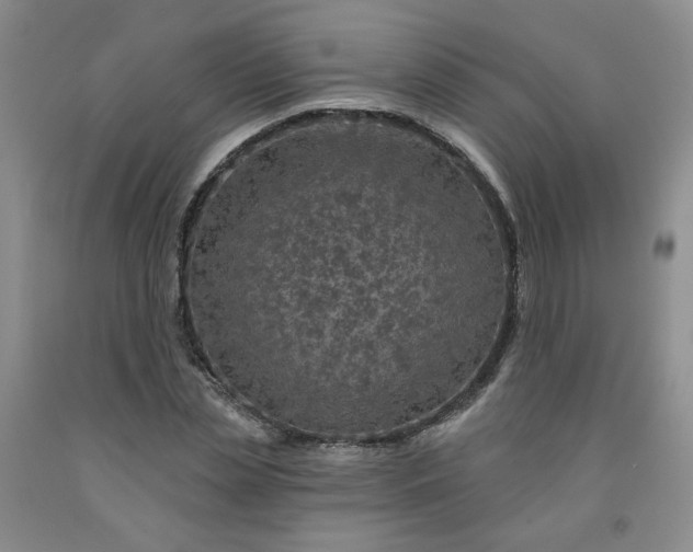 X0000091950829200709201321