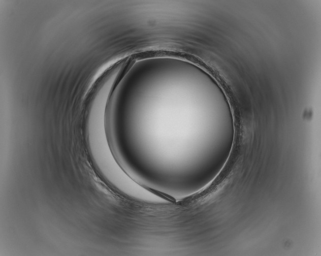 X0000091950830200709201321