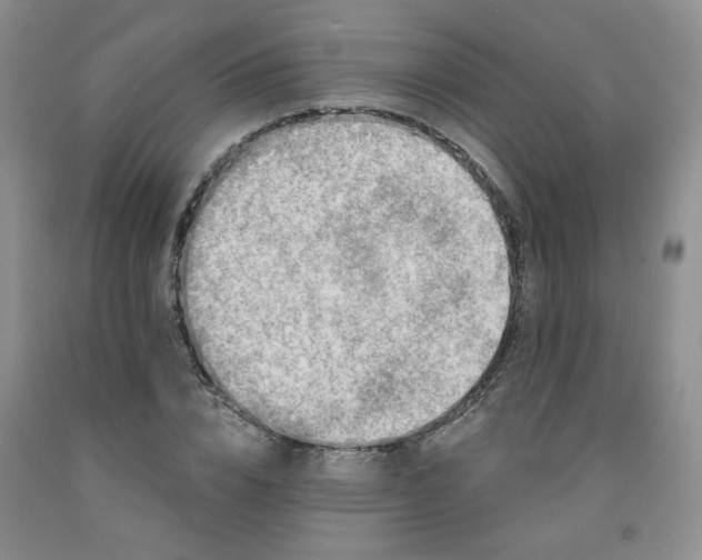 X0000091950832200709201321