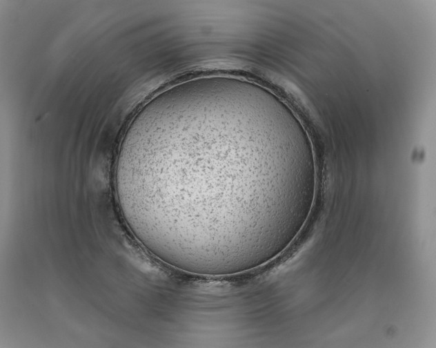 X0000091950833200709201321