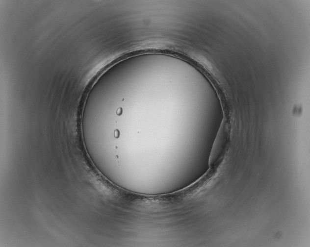 X0000091950834200709201321