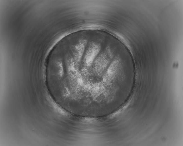 X0000091950835200709201321