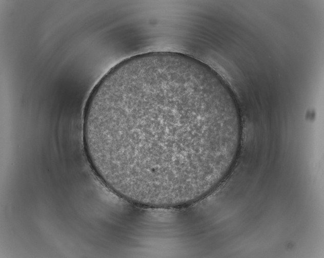 X0000091950836200709201321