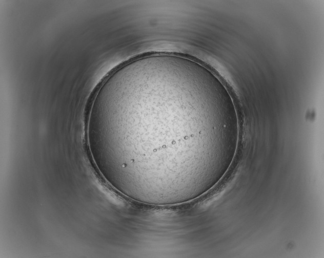 X0000091950837200709201321