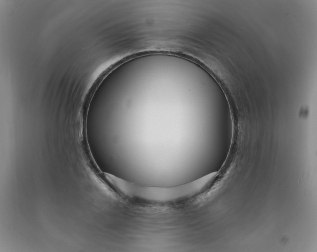 X0000091950838200709201321