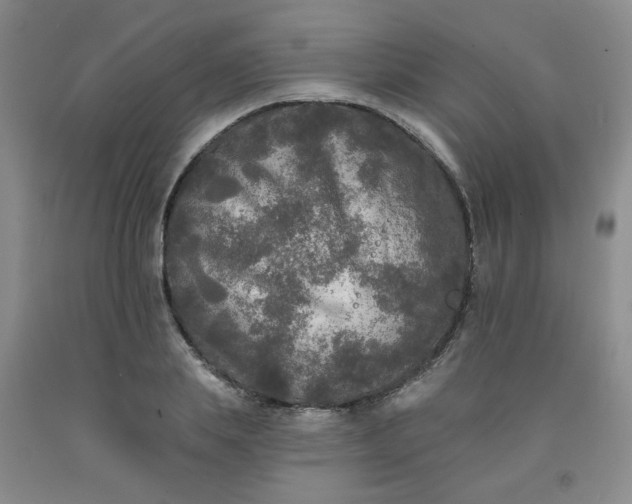 X0000091950839200709201321