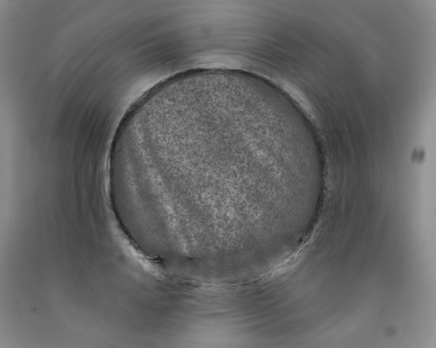 X0000091950840200709201321