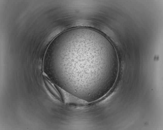 X0000091950841200709201321