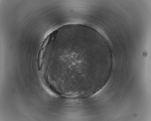 X0000091950842200709201321