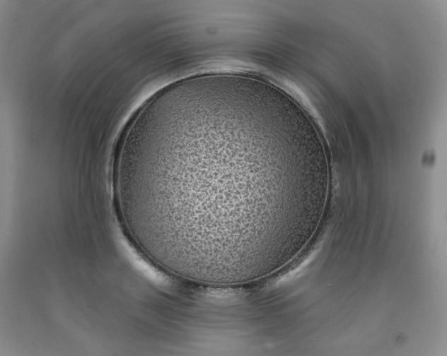 X0000091950843200709201321