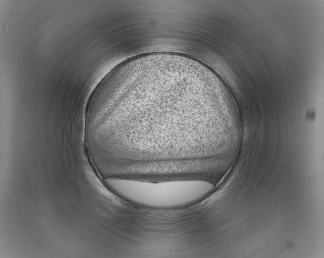 X0000091950844200709201321