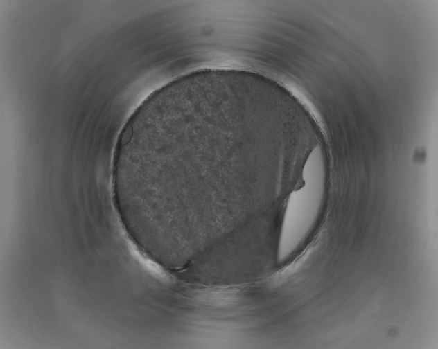 X0000091950845200709201321