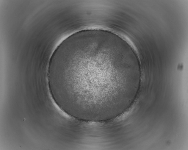 X0000091950847200709201321