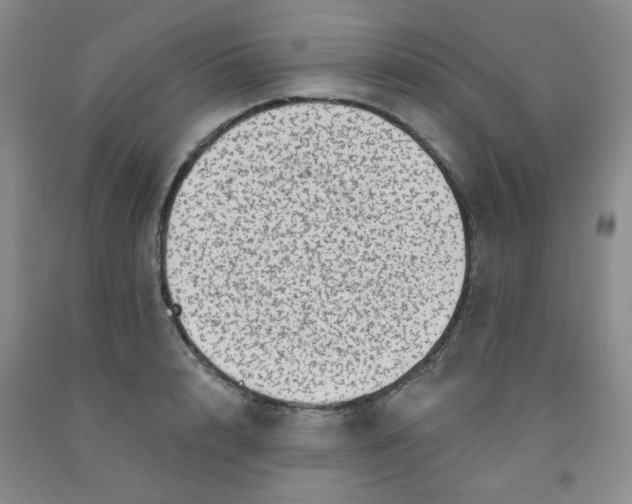 X0000091950848200709201321