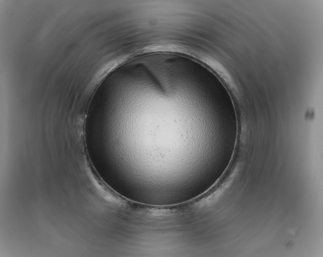 X0000091950849200709201321