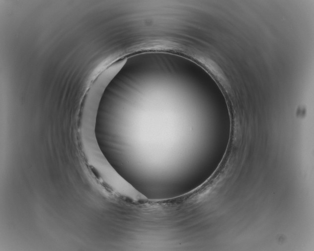 X0000091950850200709201321