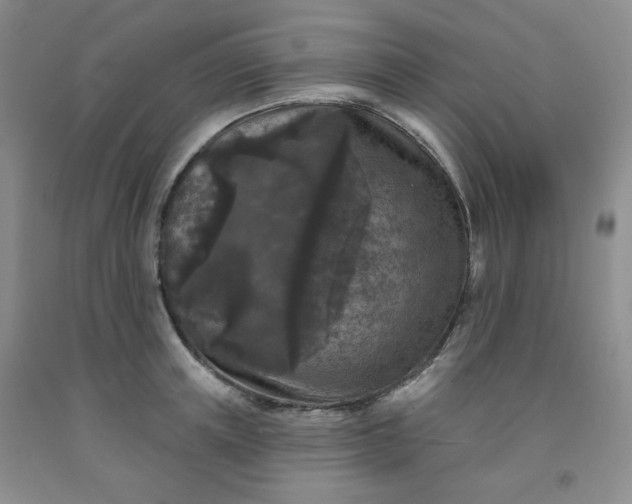 X0000091950851200709201321