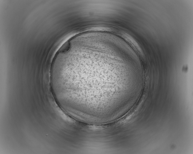 X0000091950852200709201321