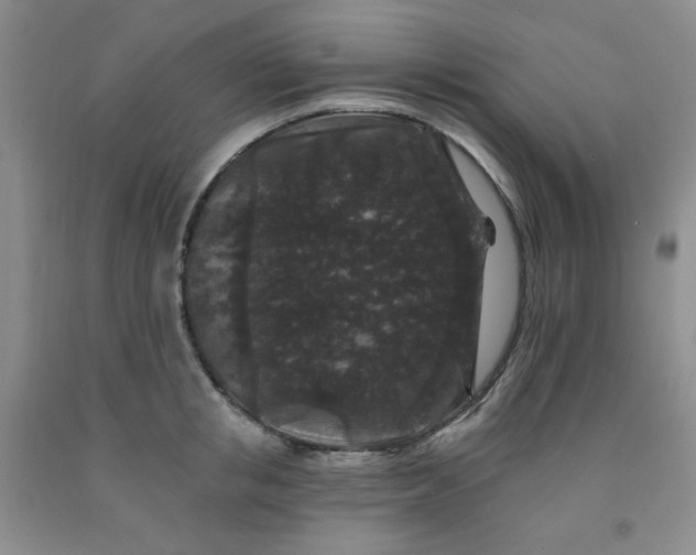 X0000091950853200709201321