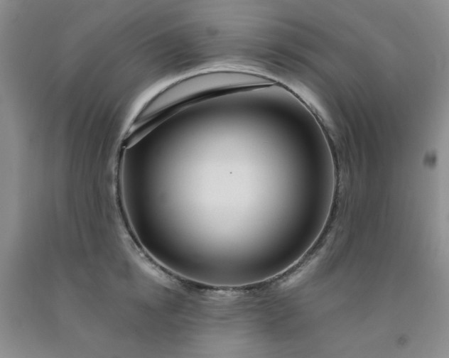 X0000091950854200709201321