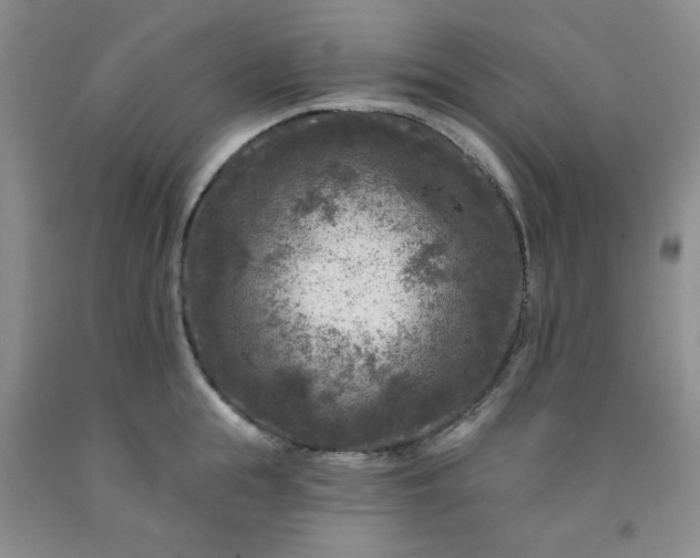 X0000091950855200709201321