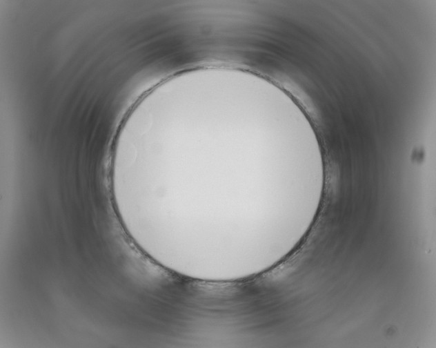 X0000091950856200709201321