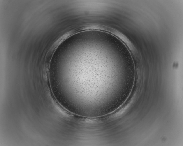 X0000091950857200709201321