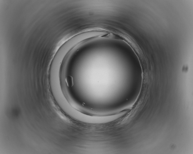 X0000091950858200709201321