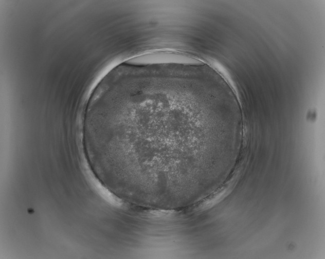 X0000091950859200709201321