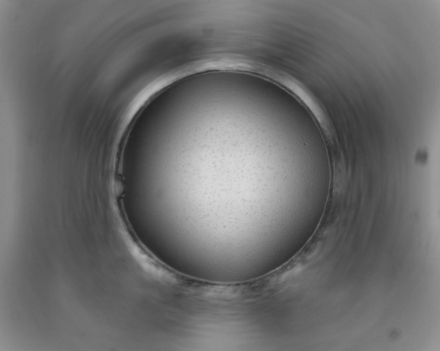 X0000091950861200709201321