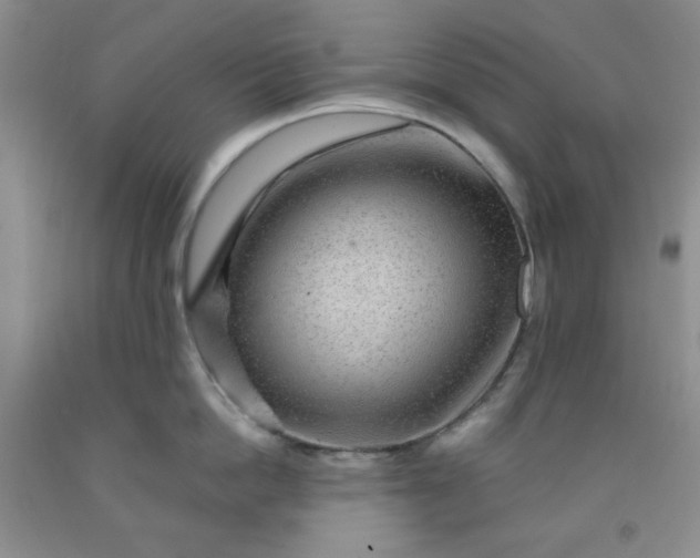 X0000091950862200709201321