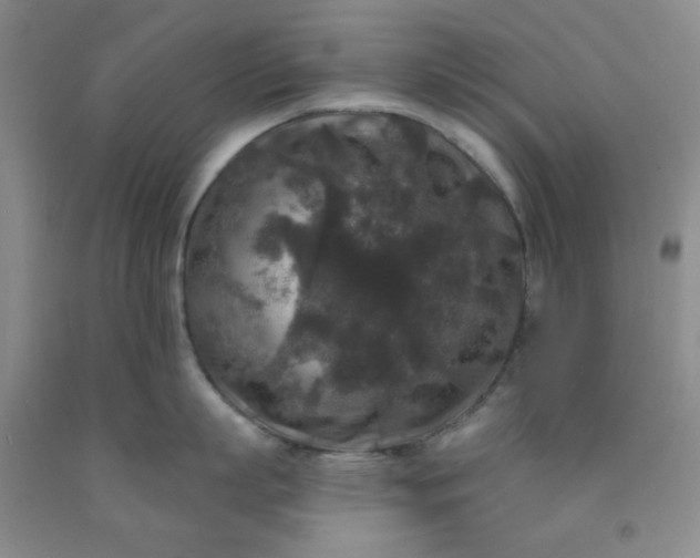 X0000091950863200709201321