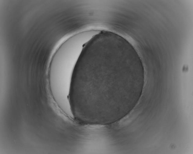 X0000091950864200709201321