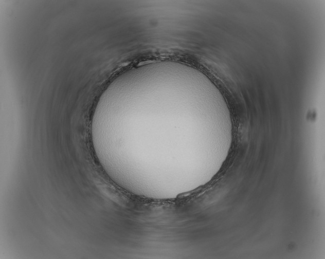 X0000091950865200709201320