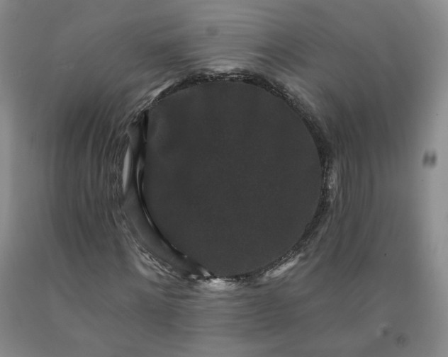 X0000091950868200709201320