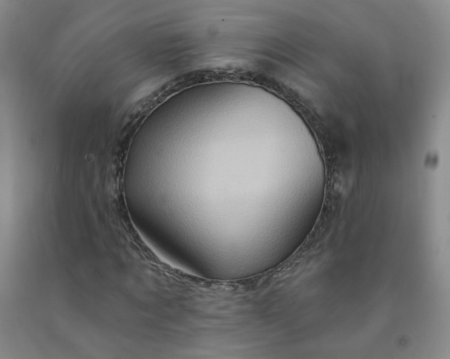 X0000091950869200709201320