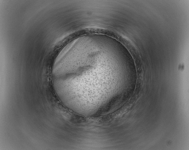 X0000091950870200709201320