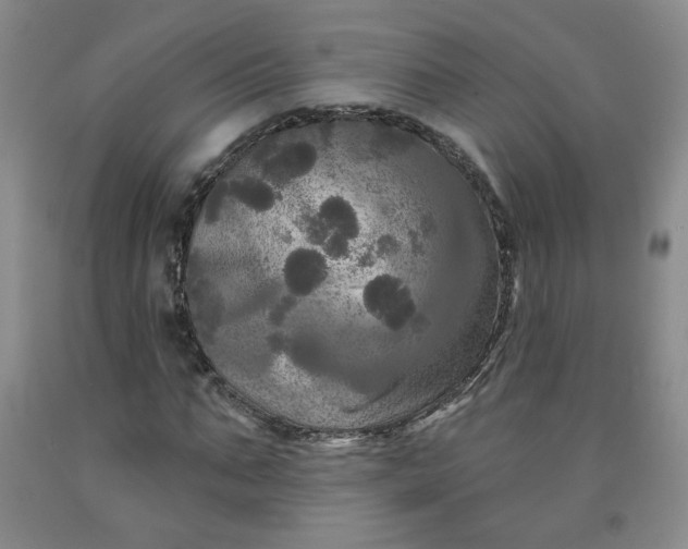 X0000091950871200709201320