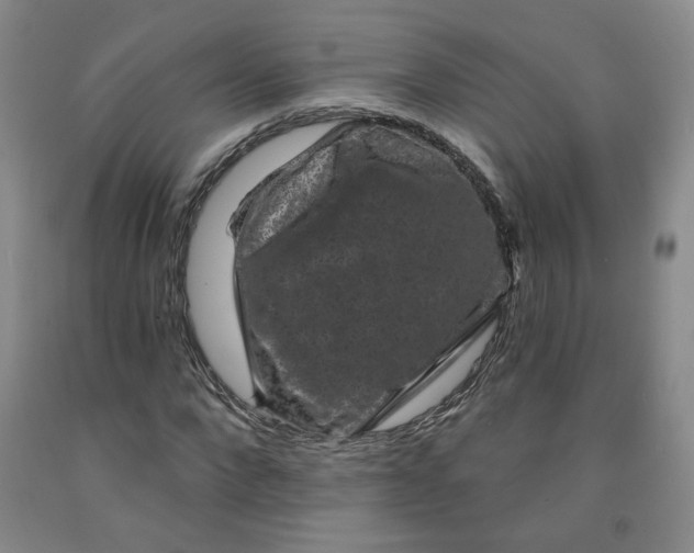 X0000091950872200709201320