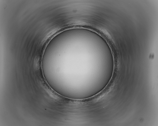 X0000091950873200709201320