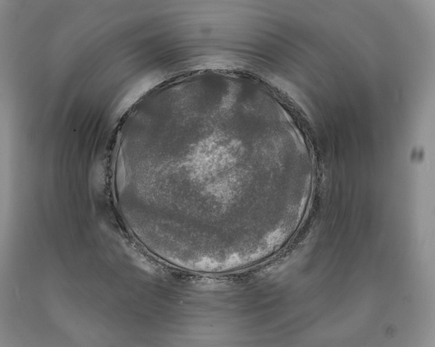 X0000091950874200709201320