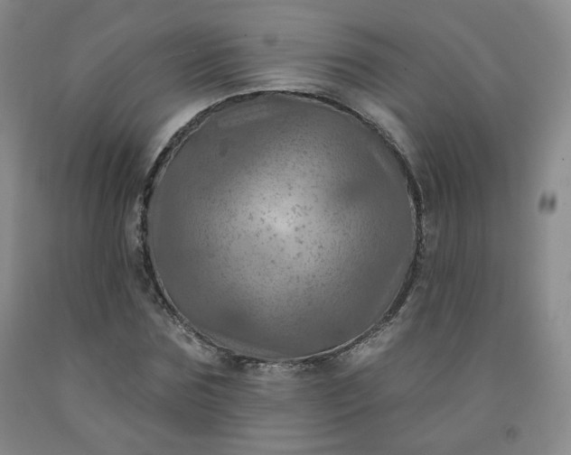 X0000091950875200709201320