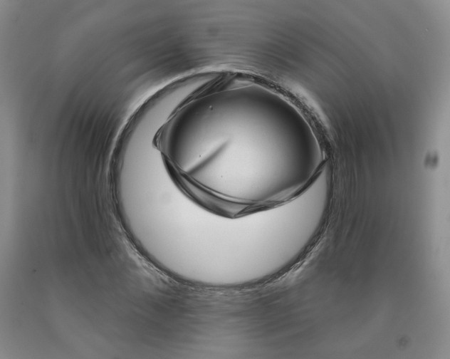 X0000091950876200709201320