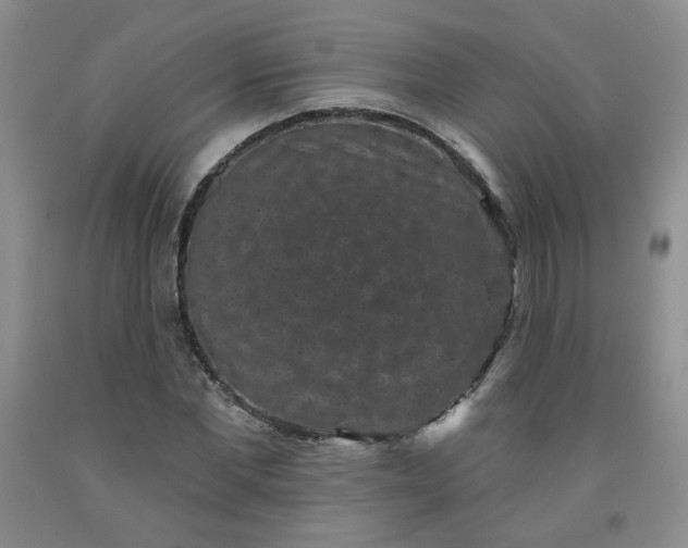 X0000091950877200709201320