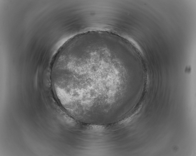 X0000091950878200709201320