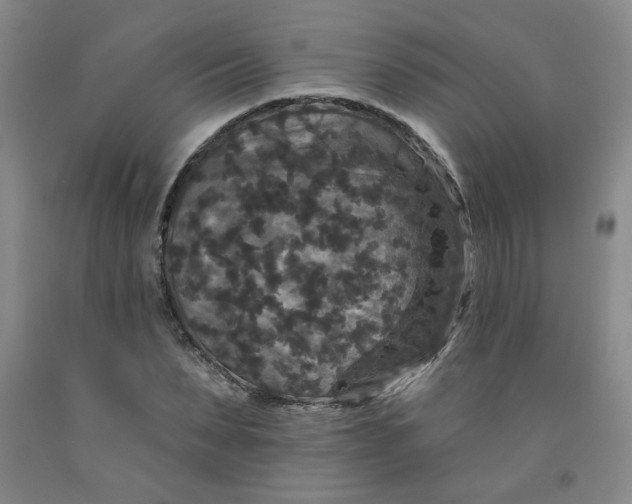 X0000091950879200709201320