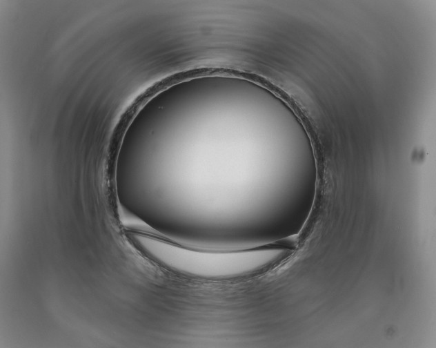 X0000091950880200709201320